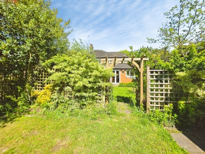 Picture 48